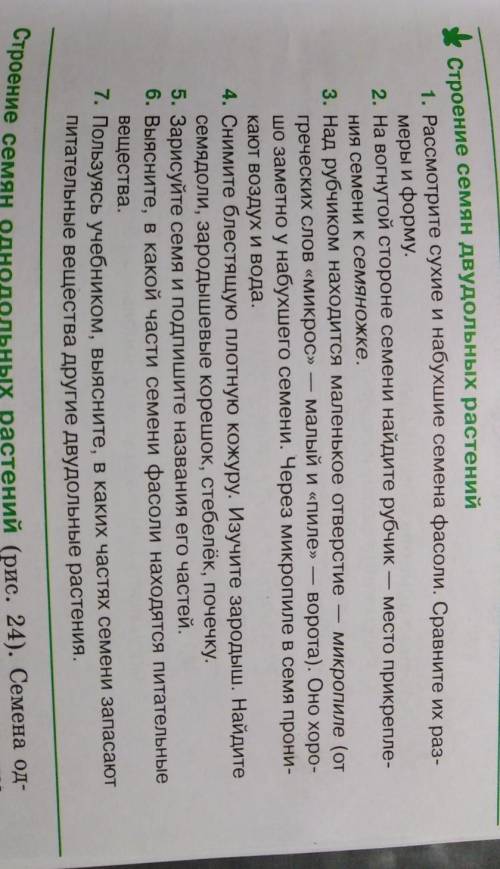 Нужно зделать лабораторную работу по теме :строение семян двудольных растений. 6, у меня 2 дня