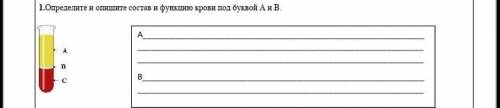 1.Определите и опишите состав и функцию крови под буквой А и В