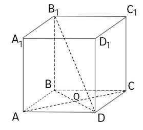 Дан прямоугольный параллелепипед ABCDA1B1C1D1, в котором AB = 8 см. Диагонали AC и BD основания ABCD