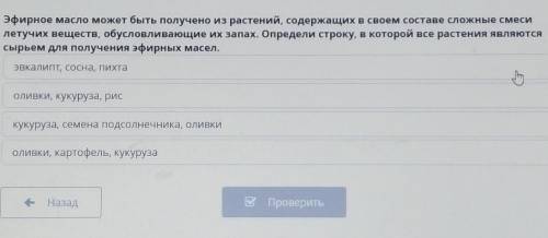 НО ПРАВИЛЬНО ПОТОМУ ЧТО ЭТО ПОСЛЕДНИЙ ШАНС ПОЛУЧИТЬ 4