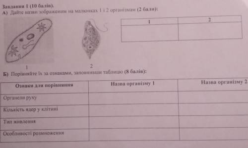 А) Дайте назви зображенням на малюнках 1 і 2 організмам: Б) порівняйте їх за ознаками, заповнивши та