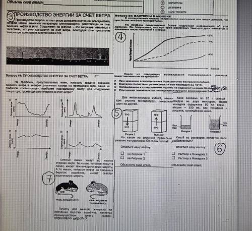 с естествознанием с 4 по 7 вопрос
