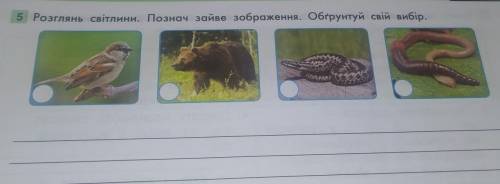 5 Розглянь світлини. Познач зайве зображення. Обгрунтуй свій вибір.