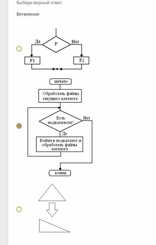 Выбери верный ответ. Ветвление