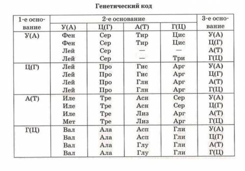 Известно, что комплементарные цепи НК антипараллельны (5' концу в одной цепи соответствует 3' конца