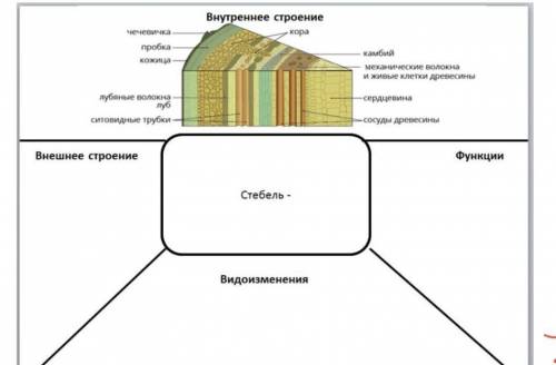 Это фреймовая опора по стебль дерева