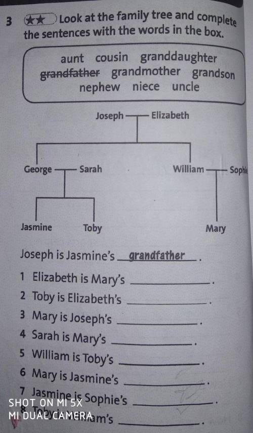 3 **Look at the family tree and complete the sentences with the words in the box. aunt cousin grandd