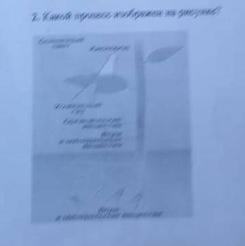 какой процесс изображён на рисунке перечислите условия необходимые для этого процесса. Какое органич