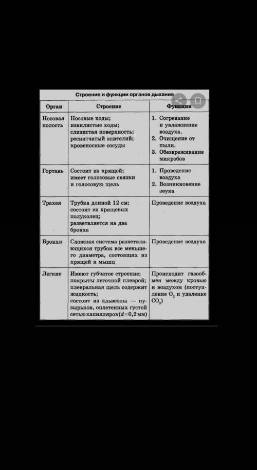 Короче можно чуть по подробнее про органы дыхания ;)>