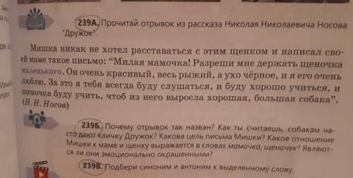 Прочитай отрывок из рассказа Николая Николаевича Носова Дружок