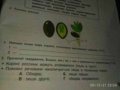 2. Розглянь рисунок. Напиши назви коренів, позначених відповідними цифрами. 1 2