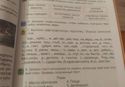 7.Выполни орфографическую подготовку объясни написание слов .