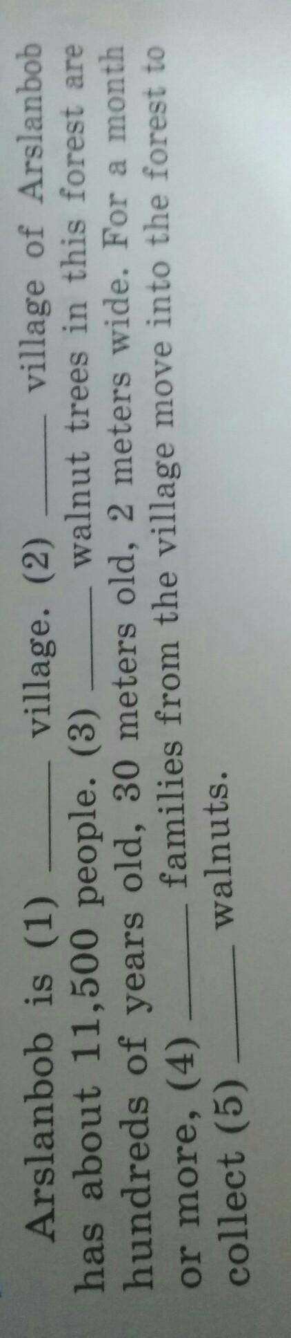 3. Complete the sentences with the articles a/an, the or zero article (Ø).