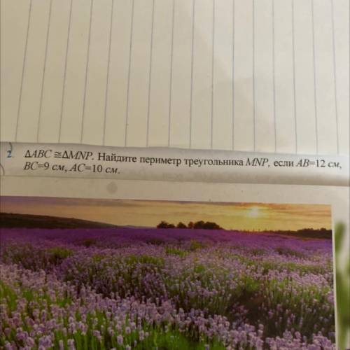 АВС =МNP. Найдите периметр треугольника MNP, если AB=12 см, ВС-9 см, АС=10 см. Tarre D 509