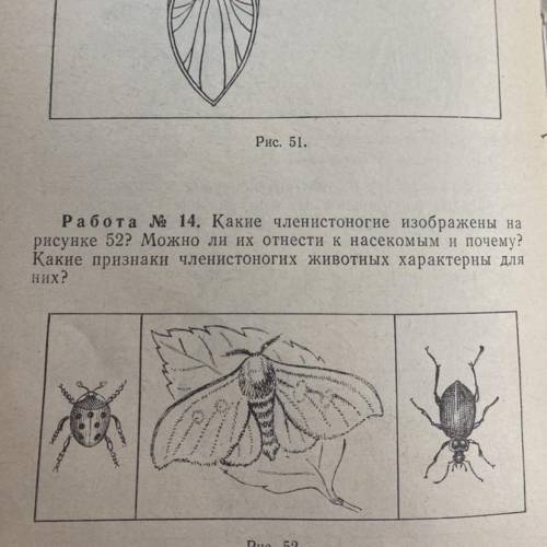 Какие членистоногие изображены на рисунке 52 ? Можно ли их отнести к насекомым и почему? Какие призн