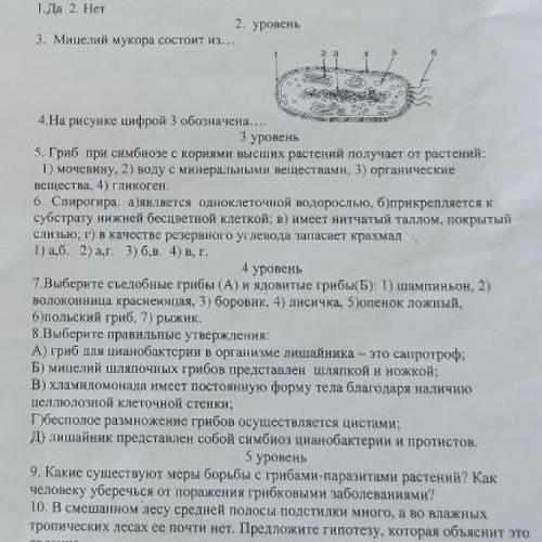 Можете дать ответ на 6 вопрос и если не сложно на 7,8,9,10