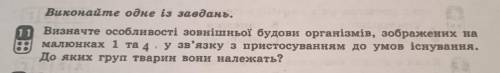 11 ЗАДАНИЕ задание от репитирора