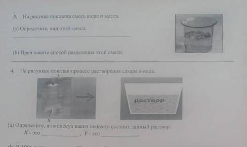 ЕЩЕ 2 СТР СОРА УРОК ЕСТЕСТВОЗНАНИЕ