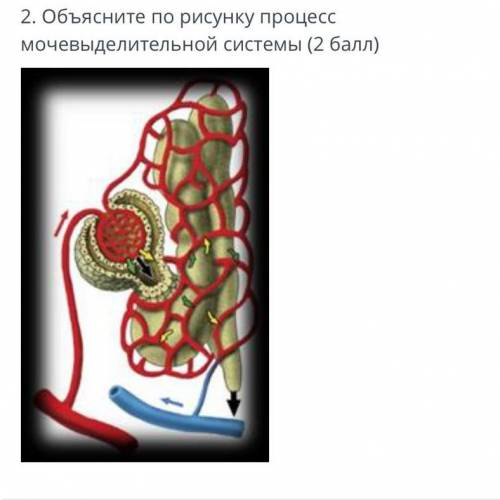 уже в третий раз выкладываю.