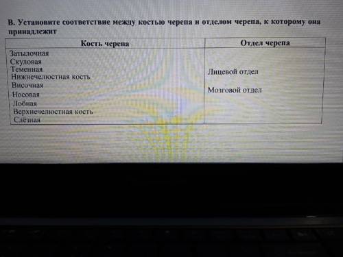 А. Кость состоит из ткани: эпителиальной соединительной нервной мышечной А. Скелет обеспечивает телу