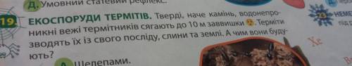 д. Умовни , 19TEKOСПОРУДИ ТЕРМІТІВ. Тверді, наче камінь, водонепро- никні вежі термітників сягають д