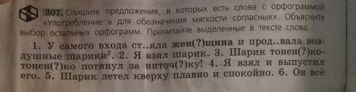 307. Спишите предложения, в которых есть слова с орфограммой «Употребление ь для обозначения мягкост