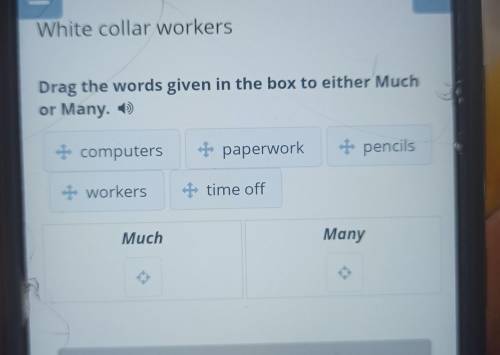 Drag the words given in the box to either Much or Many. + + computers + paperwork + pencils workers