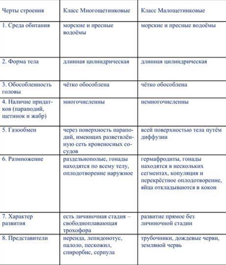 Найти и записать отличия и сходства класса Малощетинковых и многощетинковых червей.