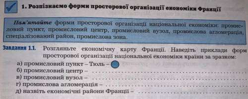 Розгляньте економічну карту Франції. Наведіть приклади форм просторової організації національної еко