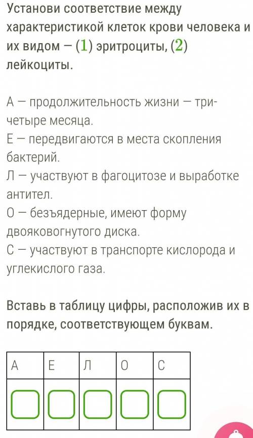 Установи соответствие между характеристикой клеток крови человека и их видом — (1) эритроциты, (2) л