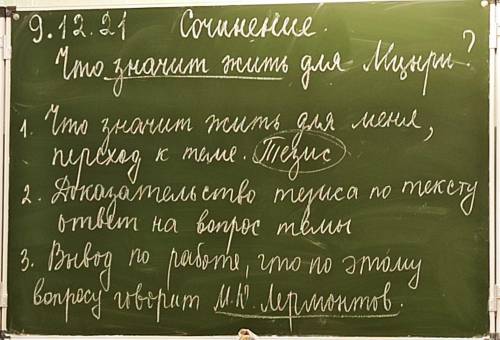 Сочинение по теме: Что значит жить для Мцыри? Сделайте по этому плану