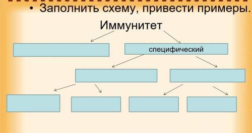 Биология 8 класс с ответами в таблице