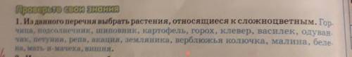 1. Из данного перечня выбрать растения, относящиеся к сложноцветным. Гор- чица, подсолнечник, шиповн