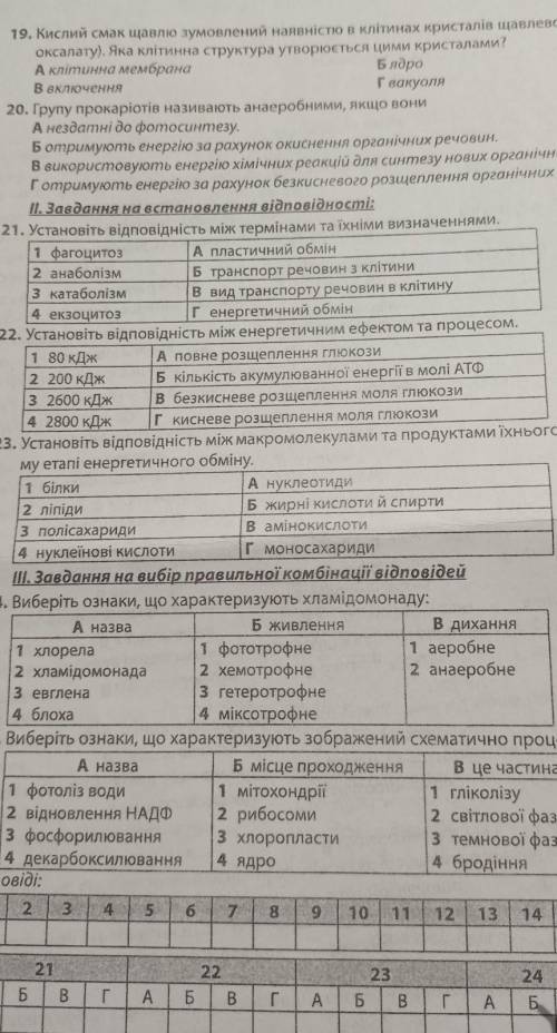 II. Завдання на встановлення відповідності: 21. Установіть відповідність між термінами та їхніми виз