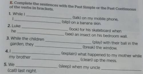 E. Complete the sentences with the Past Simple or the Past Continuous of the verbs in brackets.1. Wh