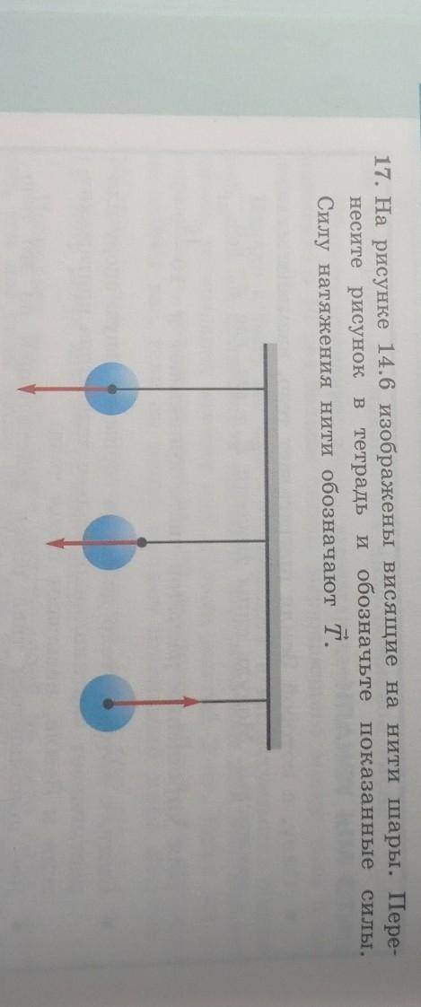 На рисунке 14.6 изображены висящие на нити шары. Пере- несите рисунок в тетрадь и обозначьте показан