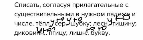 Списать, согласуя прилагательные с существительными в нужном падеже и числе. тёпл.. сер.. шубку; лес