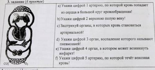 8 класс биология с зпданием фото внизу