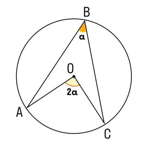 Знайдіть вписаний в коло кут , якщо центральний кут дорівнює 100градусів