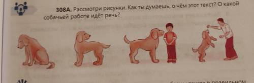 308A. Рассмотри рисунки. Как ты думаешь, о чём этот текст? О какой собачьей работе идёт речь