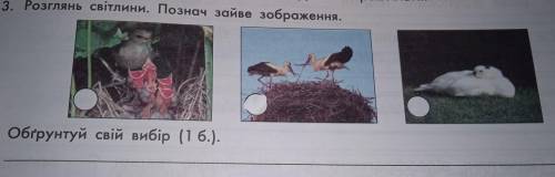 3. Розглянь світлини. Познач зайве зображення. Обгрунтуй свій вибір