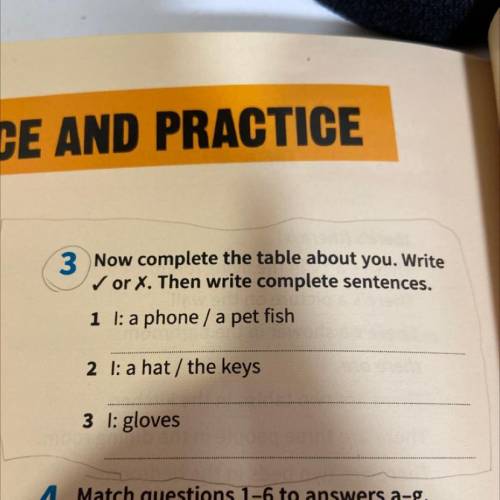 3 Now complete the table about you. Write ✓or X. Then write complete sentences. 1 l: a phone / a pet