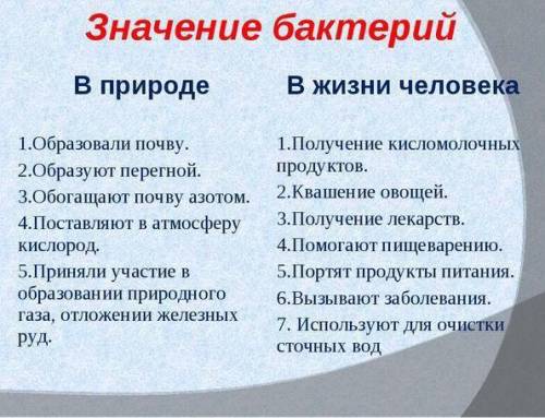 Заполните таблицу по теме значение бактерий в природе и для человека