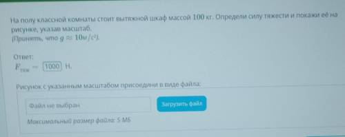 нарисовать Условие задания: 2 Б. На полу классной комнаты стоит вытяжной шкаф массой 100 кг. Определ