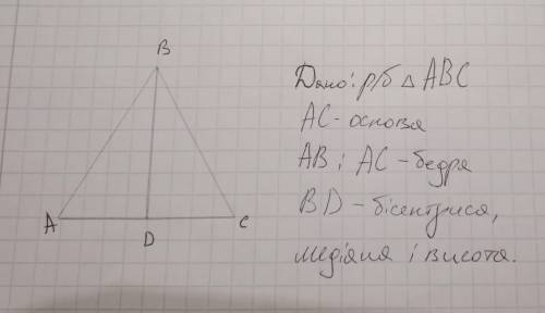 Рівно бедрений трикутник АВС.1АВ іВС- бедра трикутника.2 АС - основа трикутника.3. Кут В вершина три