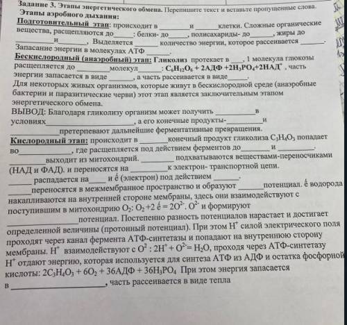 плз! поставил Задание 3. Этапы энергетического обмена. Перепишите текст и вставьте пропущенные слова