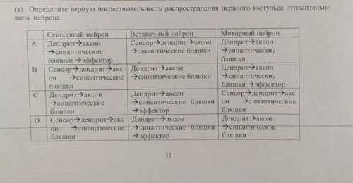 Определите верную последовательность распространения нервного импульса относительно вида нейрона