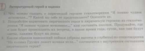 Литературный герой в оценке 1. Что можно сказать о лирической героине стихотворения Я помню чудное