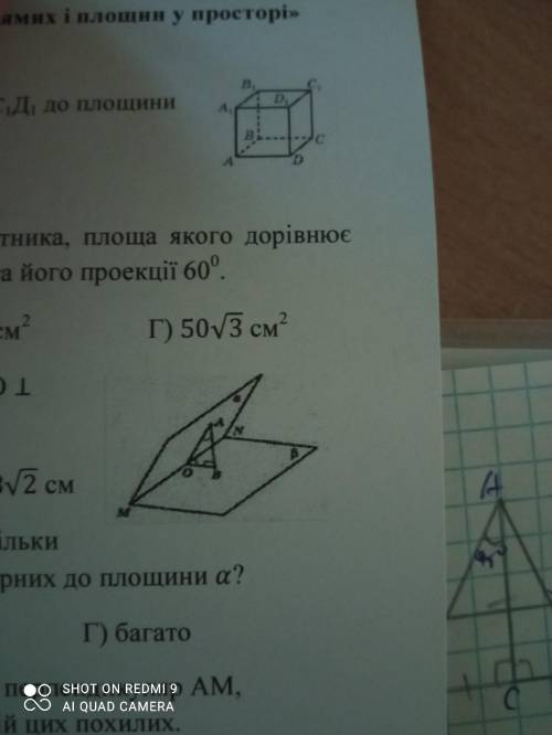 Дано двогранний кут, міра якого 45⁰. AO перп. MN, BO перп. MN, AB перп. площині b, AB = 12 см. Знайд