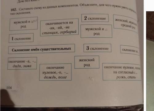 162. Составьте схему из данных компонентов. Объясните, для чего нужно уметь определять тип склонения